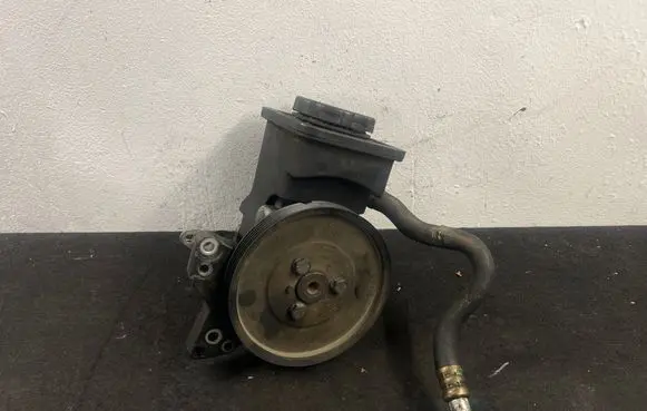BMW 5 E39 Power steering pump 1095749 7691974518 095749120