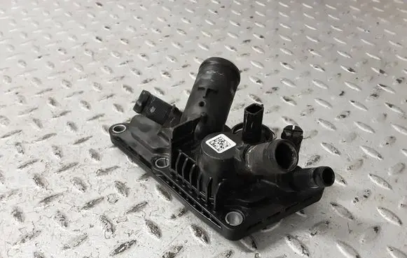 Dacia Sandero III Thermostat/thermostat housing 110616875R