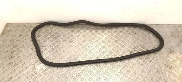 Citroen C4 III e-C4 Front door rubber seal 9833333180