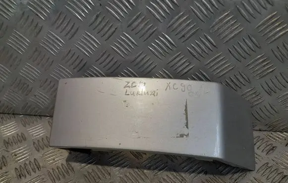 Rear/tail light trim molding