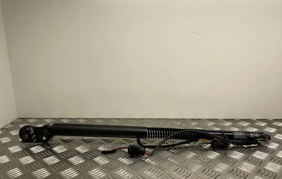 Tailgate/trunk strut/damper