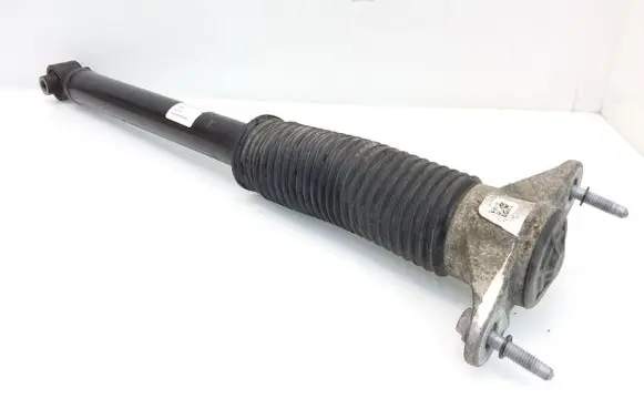 Tesla Model 3 Rear shock absorber/damper 104446101E