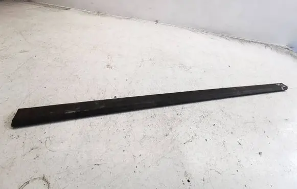 Volkswagen PASSAT B6 Front door trim (molding) 