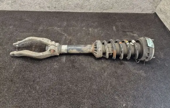 Jaguar F-Pace Front shock absorber with coil spring HK8318B036MF