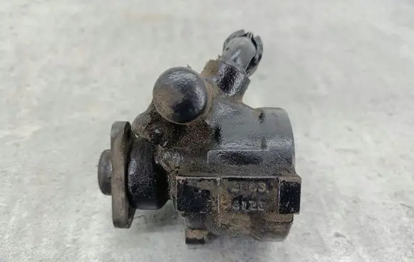 Fiat Doblo Power steering pump