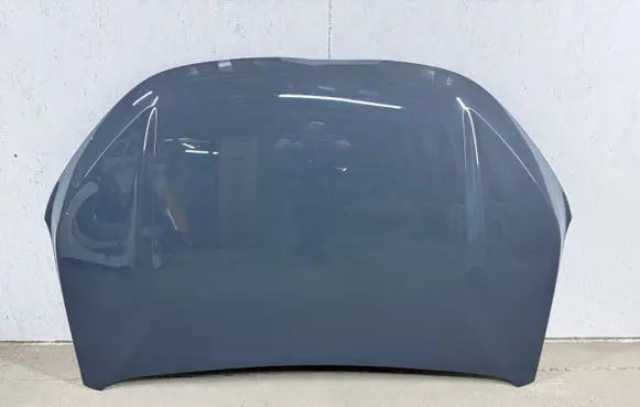 Engine bonnet/hood