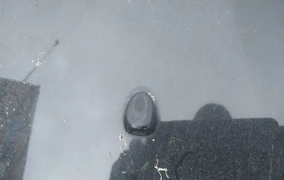 Citroen C3 Windshield washer spray nozzle 