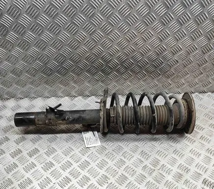 Land Rover Freelander Front shock absorber/damper 6G9118045UAF