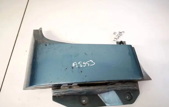 Rear/tail light trim molding