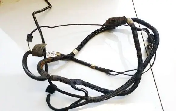 Other wiring loom