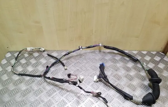 Front door wiring loom