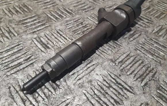 Renault Megane II Fuel injector 820100272 0445110110b