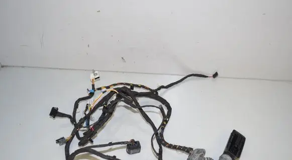 BMW 4 F36 Gran coupe Front door wiring loom 9325881 61129325881