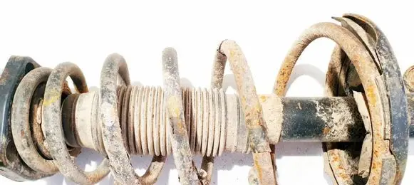 Rear coil spring
