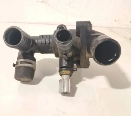 Thermostat/thermostat housing