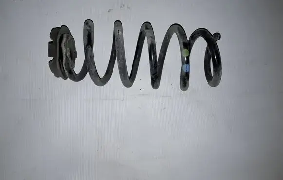 Dacia Jogger Rear coil spring