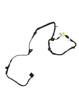 Other wiring loom