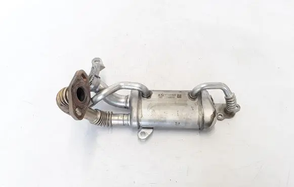 Renault Megane III EGR valve cooler