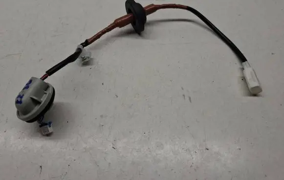 Tail light bulb cover holder