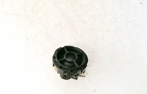 Front door speaker
