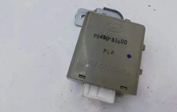 Hyundai ix 55 Other control units/modules 954503J600