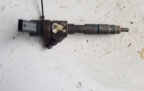 Renault Scenic II - Grand scenic II Fuel injector 0445110110B