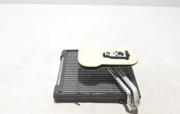 Renault Megane E-Tech Air conditioning (A/C) radiator (interior) 271433936R
