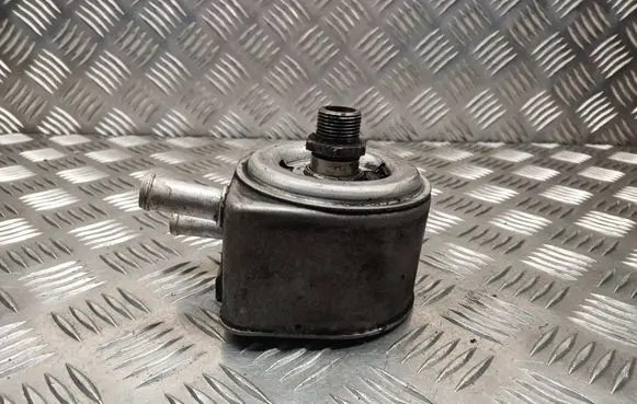 Peugeot 807 Oil filter mounting bracket 9637319180