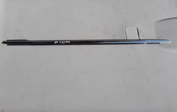 Ford Focus Front door glass trim molding