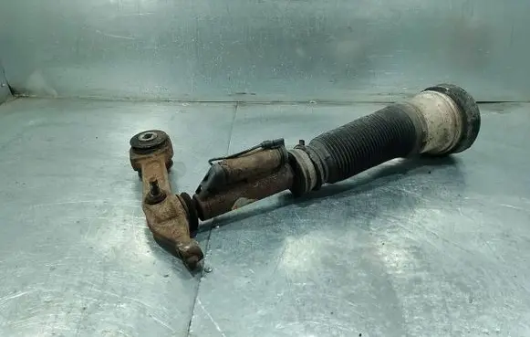 Mercedes-Benz S W220 Front shock absorber/damper C086053N7