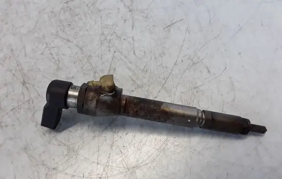 Renault Megane III Fuel injector 8200294788