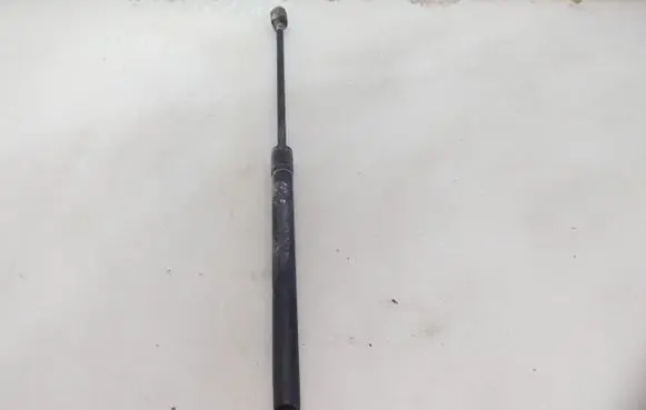 Tailgate strut