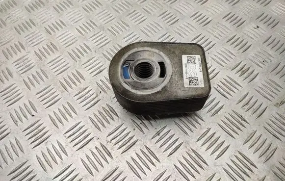 Renault Clio IV Engine oil radiator 8200779744