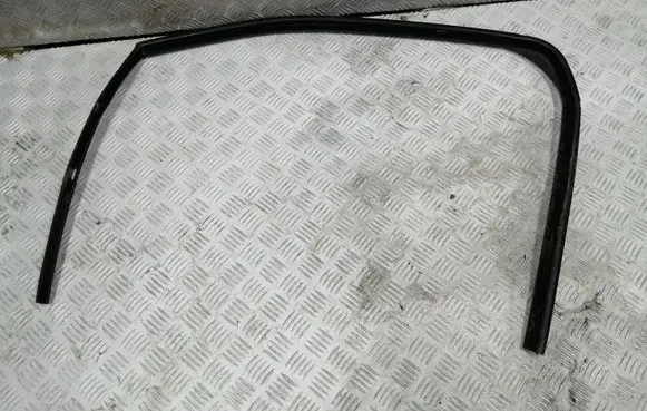 Citroen DS3 Front door rubber seal 