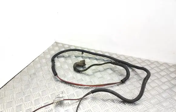 Opel Signum Other wiring loom 13160253
