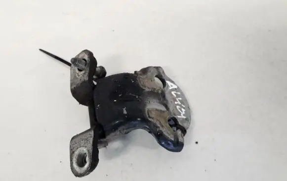 Volvo S40, V40 Rear door lower hinge