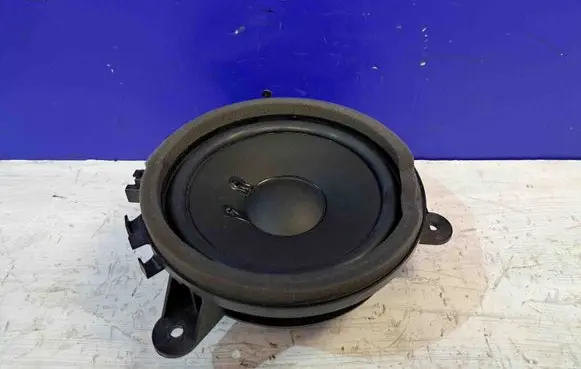 Rear door speaker
