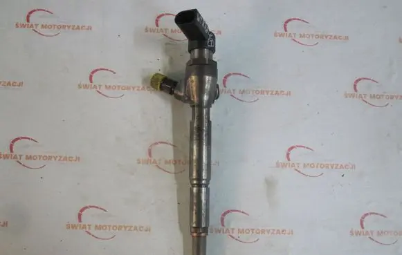 Nissan Bluebird Sylphy II Fuel injector H8200294788