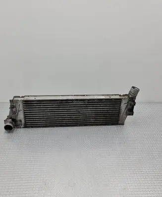 Renault Megane II Intercooler radiator 8200115540 0113625 160130200F01