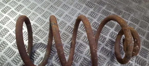 Front coil spring
