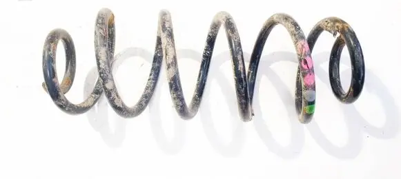 Rear coil spring