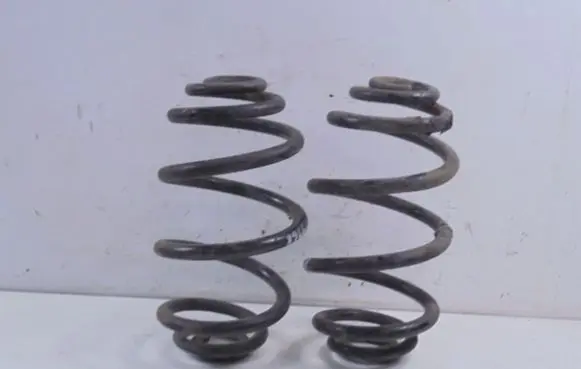 Volkswagen PASSAT B5 Rear coil spring
