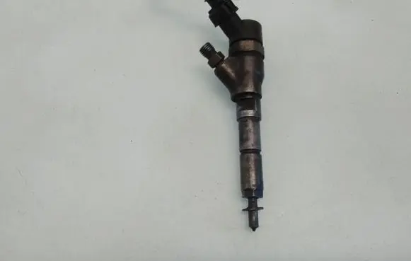 Fiat Scudo Fuel injector 0445110076