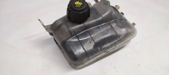 Renault Scenic III - Grand scenic III Coolant expansion tank/reservoir 217100005R