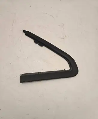 Dodge PickUp RAM SRT-10 Front door trim (molding) 68290780AD