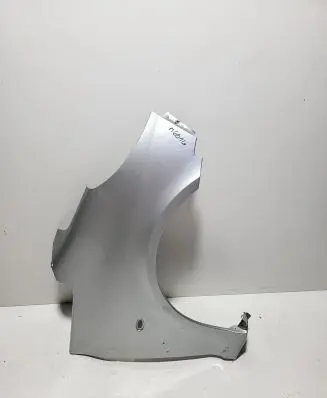 Peugeot 1007 Fender