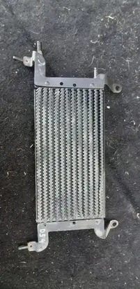 Citroen DS4 Fuel filter heater 
