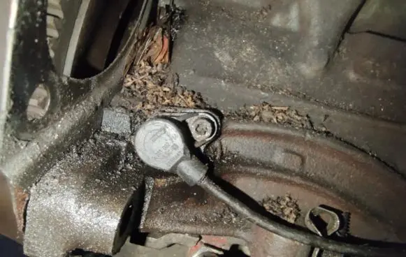 Alfa Romeo 166 Crankshaft position sensor 0281002214