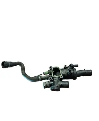 Thermostat/thermostat housing