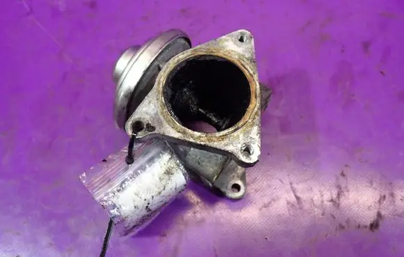 Seat Leon (1P) EGR valve 038131501AN